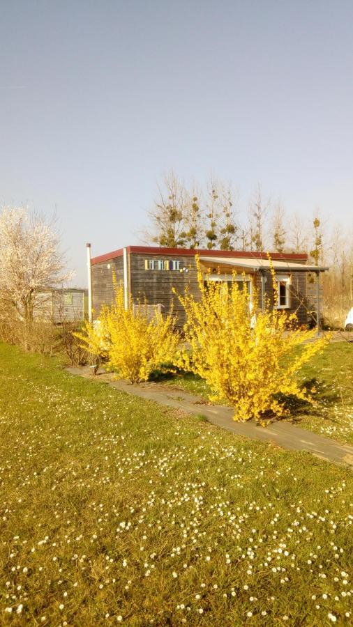 La Halte Villa Villeret Luaran gambar