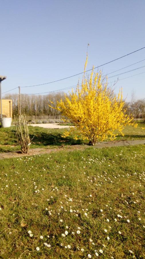 La Halte Villa Villeret Luaran gambar